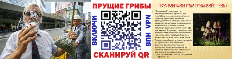Псилоцибиновые грибы Psilocybine cubensis  hydra зеркало  Каменногорск 
